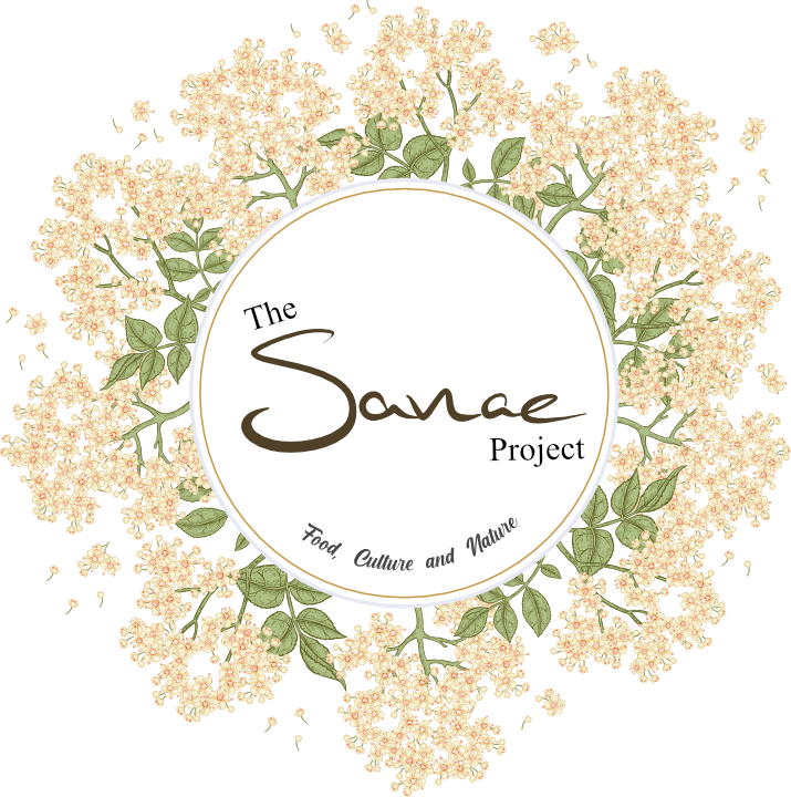 The Sanae Project